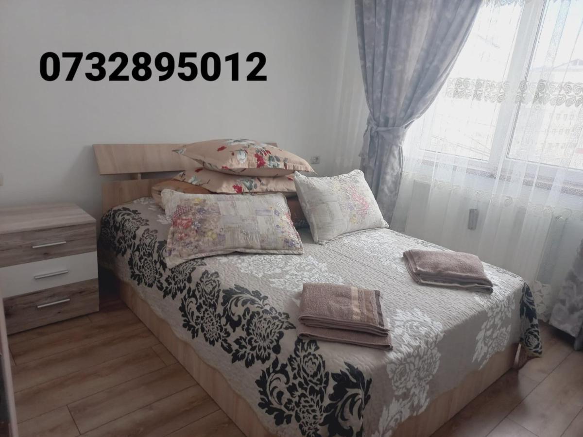 Apartament Bianca Campulung Moldovenesc Luaran gambar