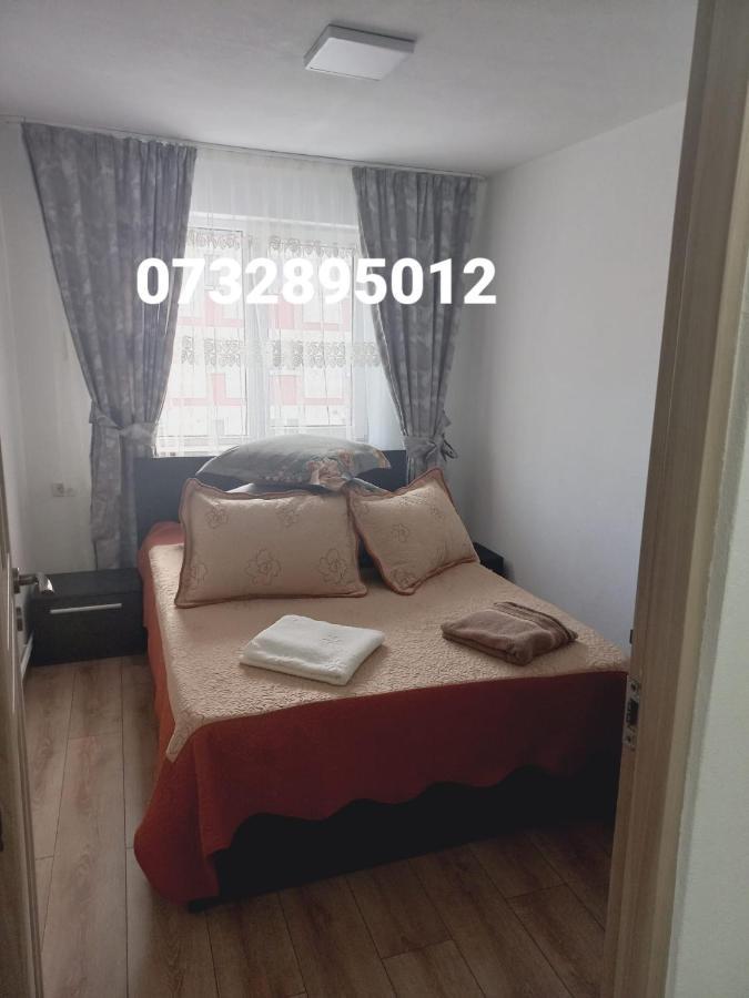 Apartament Bianca Campulung Moldovenesc Luaran gambar
