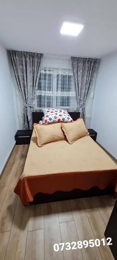 Apartament Bianca Campulung Moldovenesc Luaran gambar